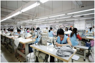 越南6月份服装及纺织生产稳步增长，金属材料销售表现稳健